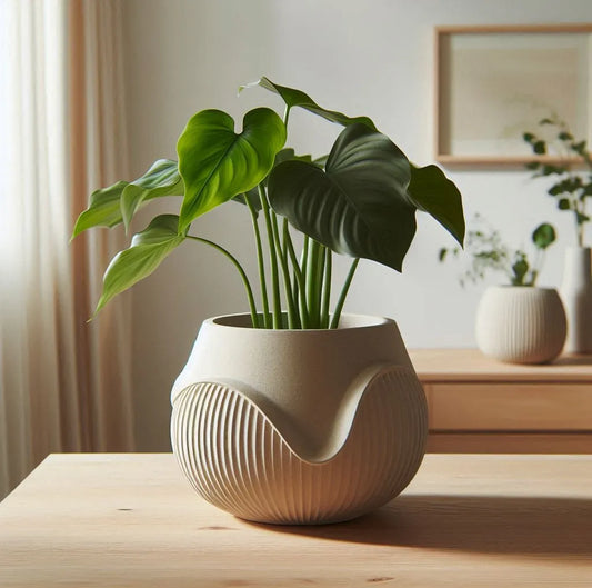 Wavy Planter